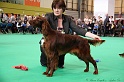 Crufts2011 152